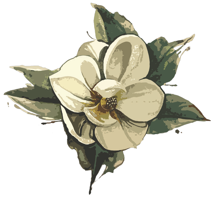 Illustrated magnolia, the SoPro brand symbol